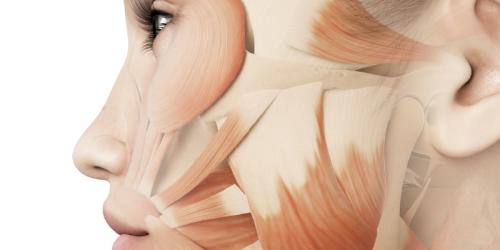 Motrocidade Orofacial